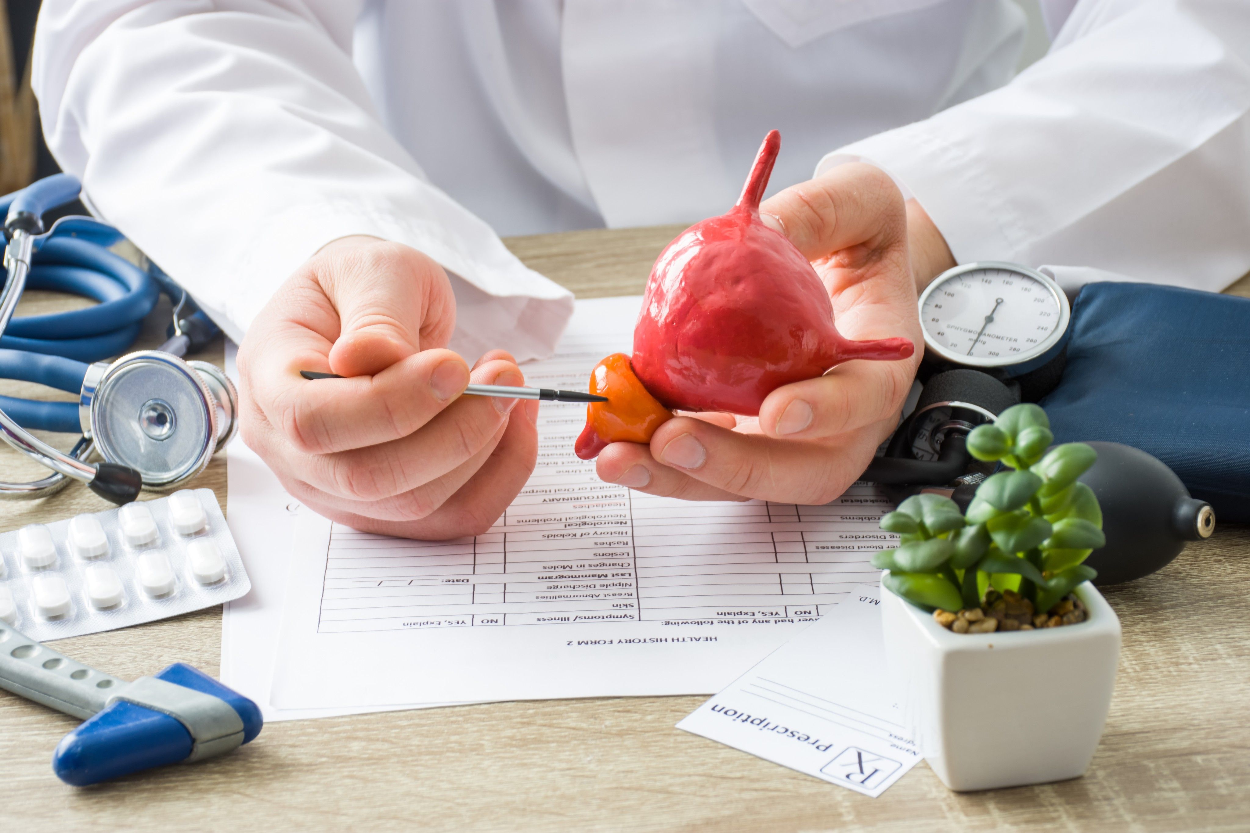 Physician shows male patient the difference between normal size of prostate gland and enlarged using objects.