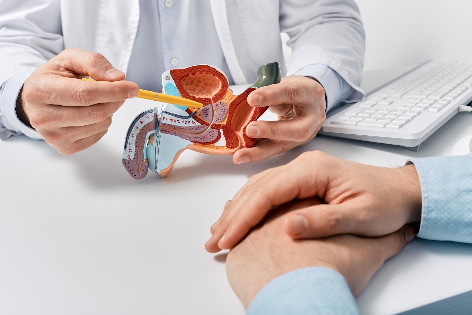 Doctor explaining how to Improve Prostate Health.