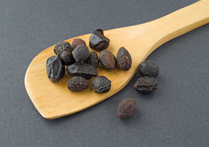 Close up of wooden spoon underneath a serving size of dried berries from saw palmetto for prostate health